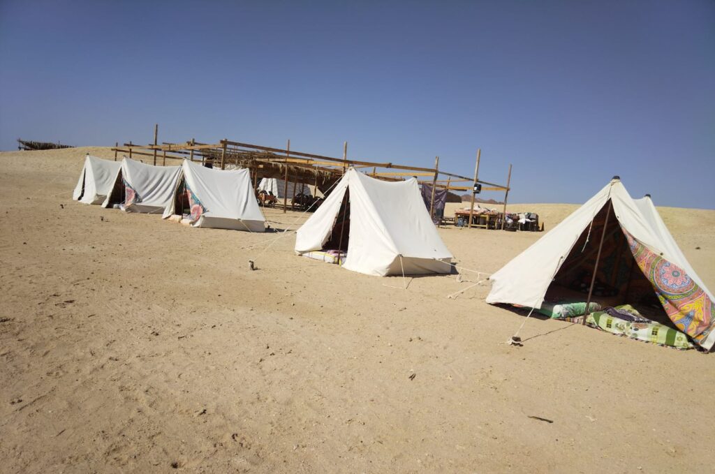 WhatsApp Image 2024-01-16 at 6.55.07 PM (2)