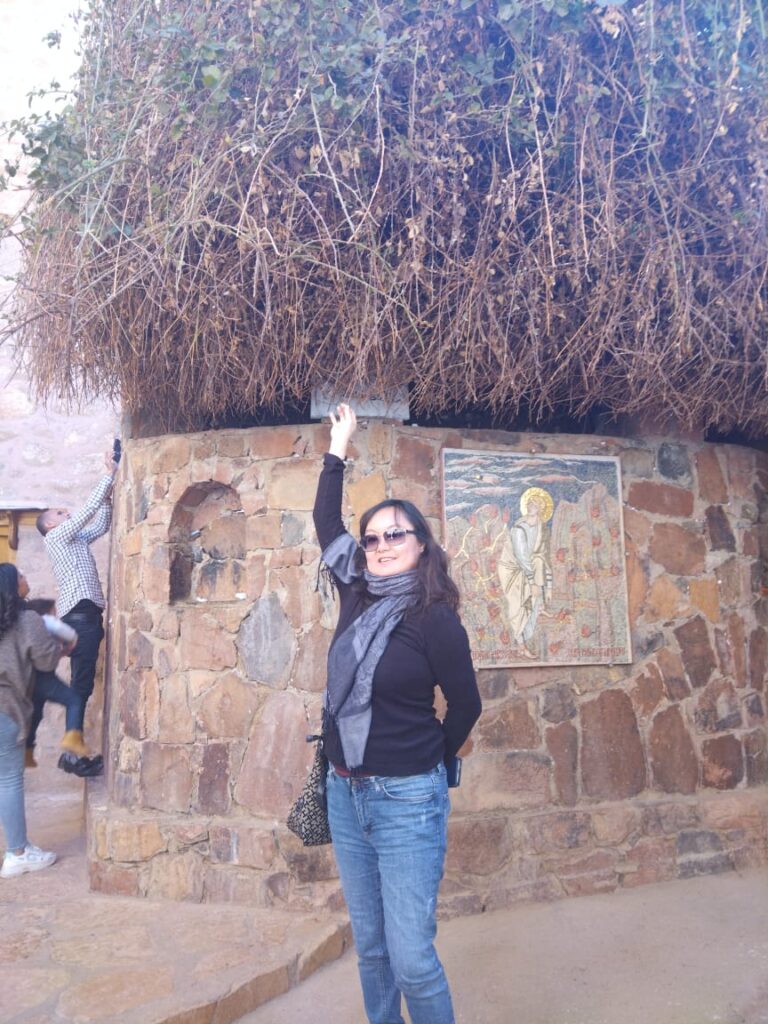 WhatsApp Image 2024-01-16 at 7.03.12 PM (2)