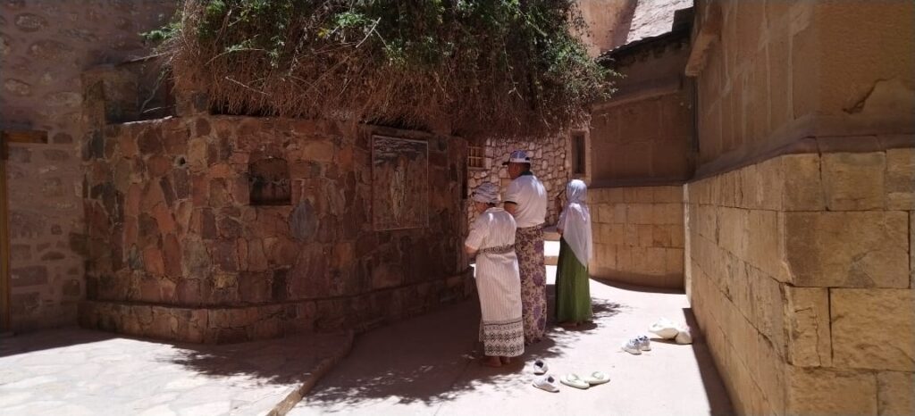 WhatsApp Image 2024-01-16 at 7.03.28 PM (2)