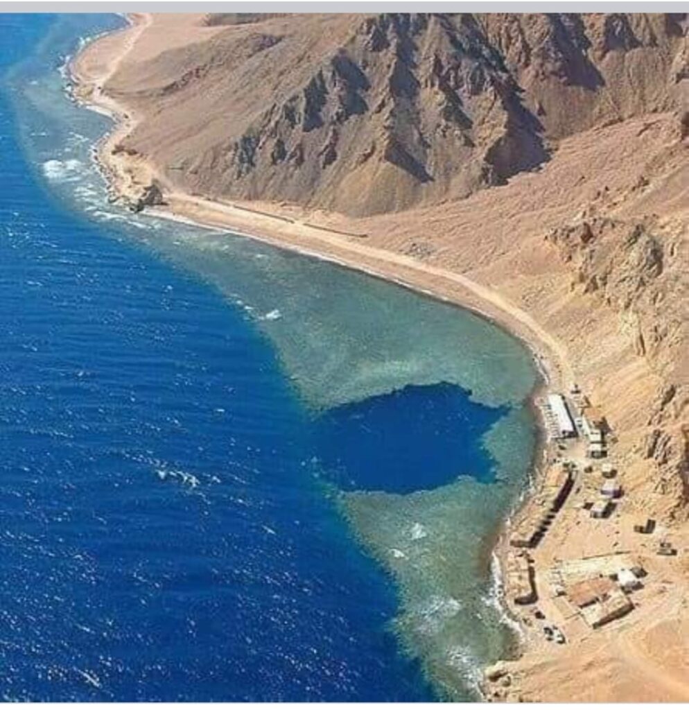 WhatsApp Image 2024-01-16 at 7.46.27 PM